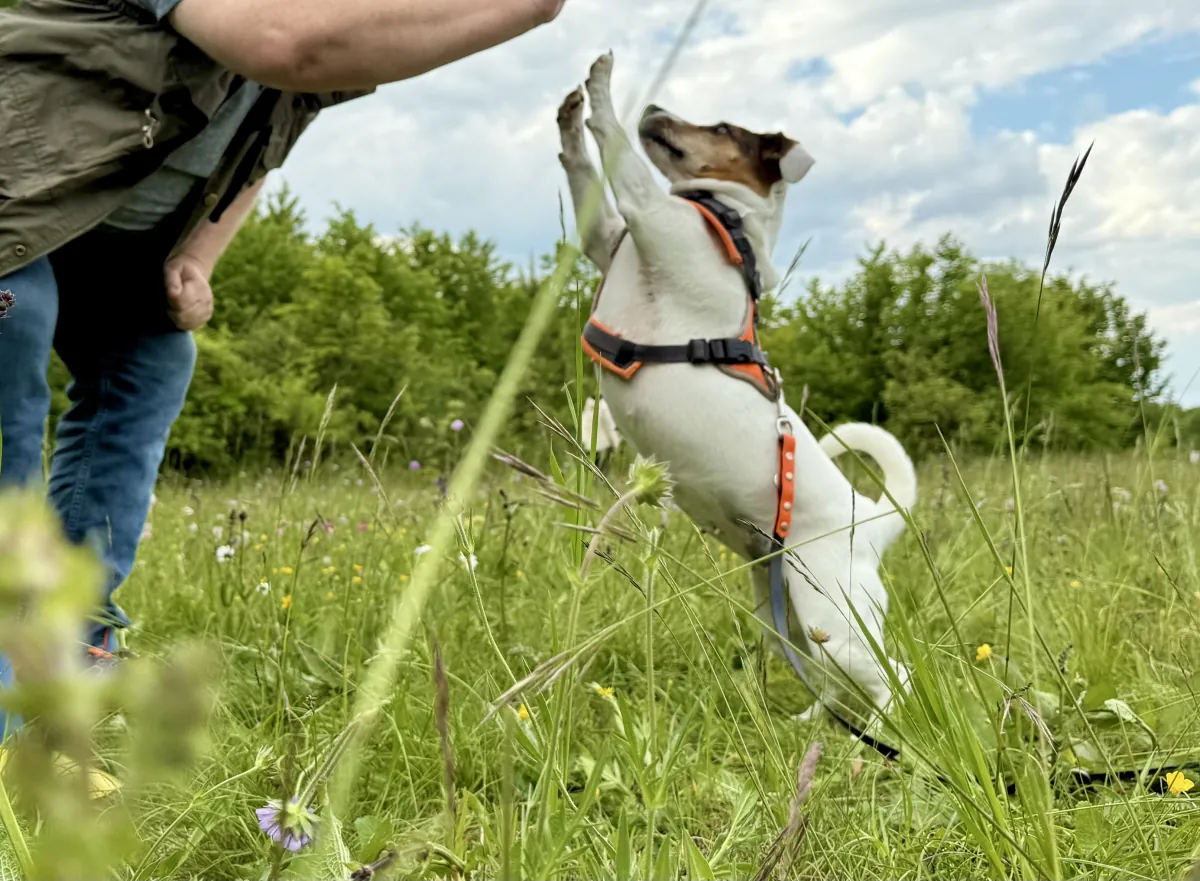 Frau mit Hund
